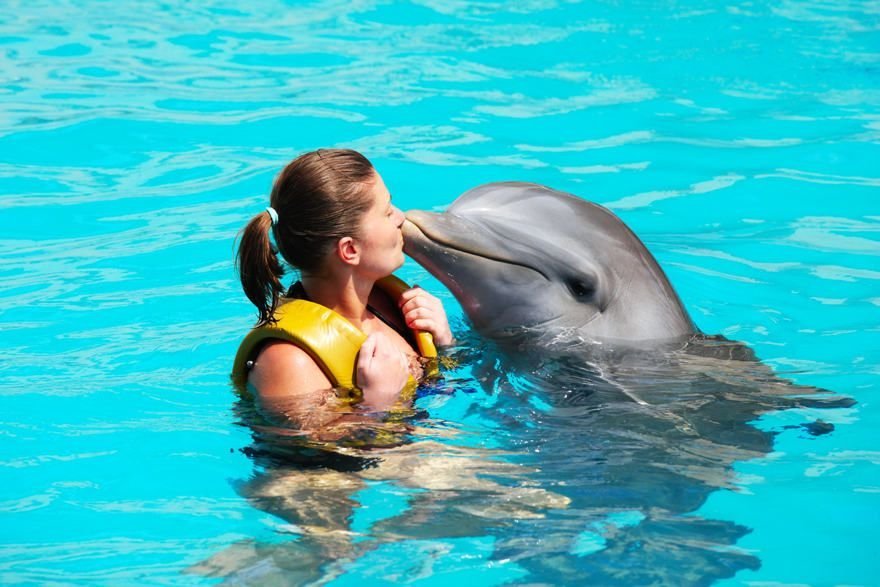 nadar-con-delfines-punta-cana