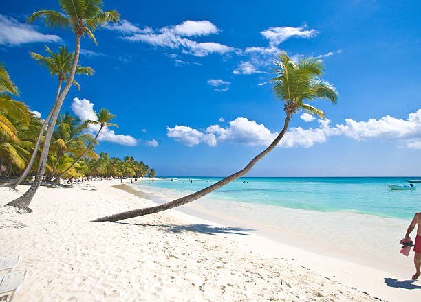 saona3